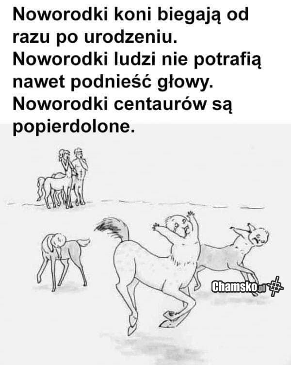 Noworodki centaurów