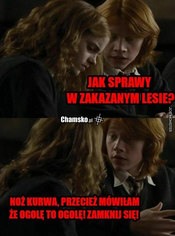 Sprawy w zakazanym lesie