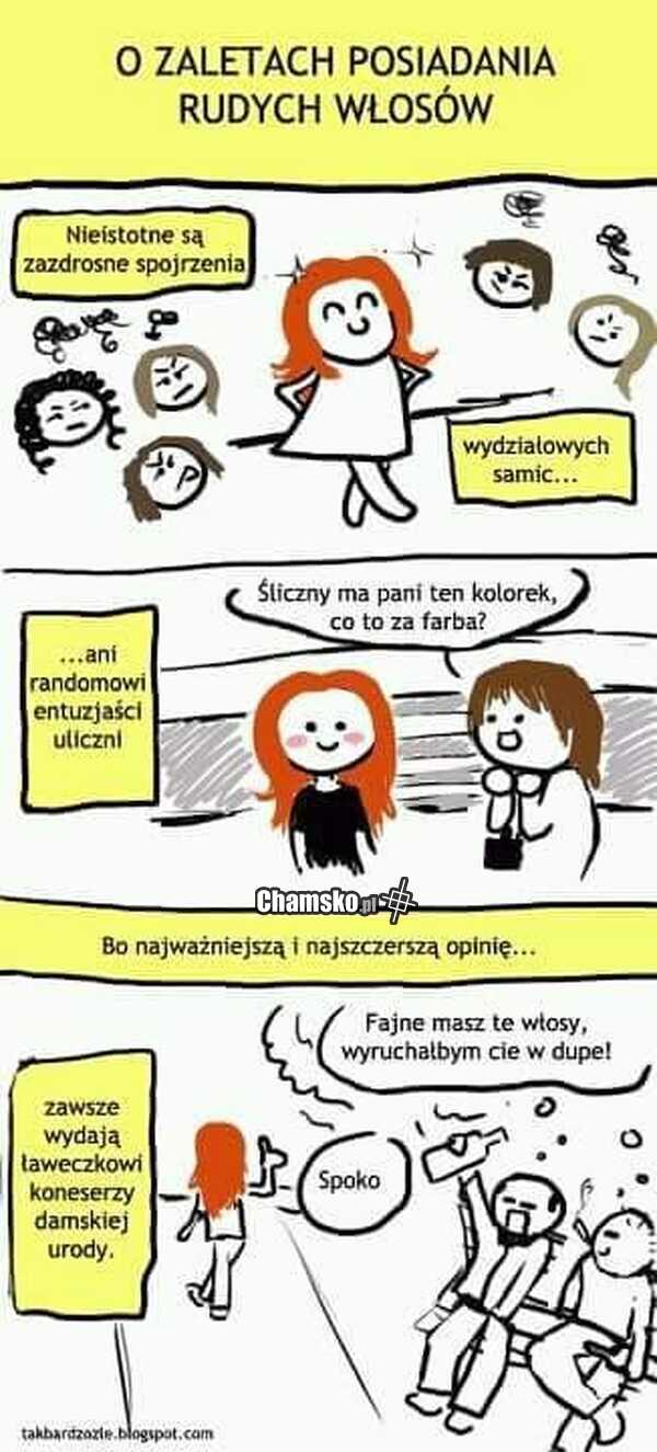 Rude włosy