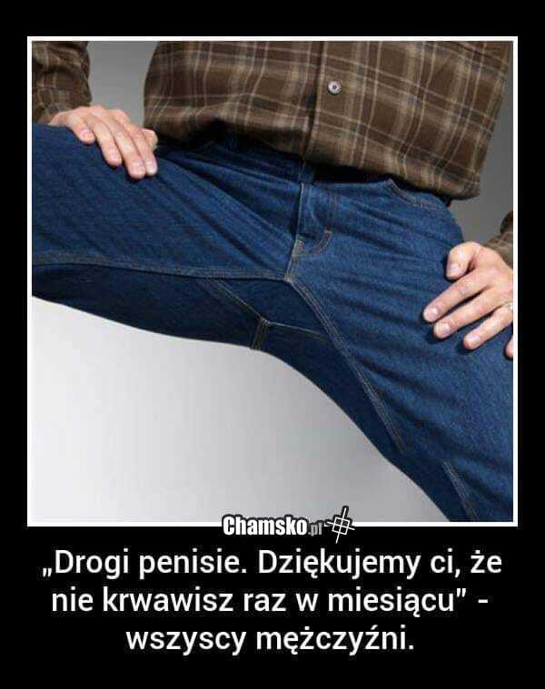 Dziękujemy!