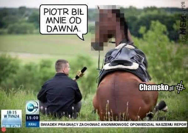 Bicie konia
