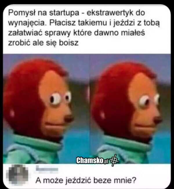Pomysł na biznes