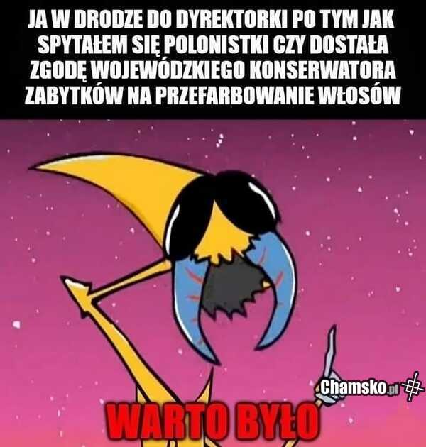 Było warto