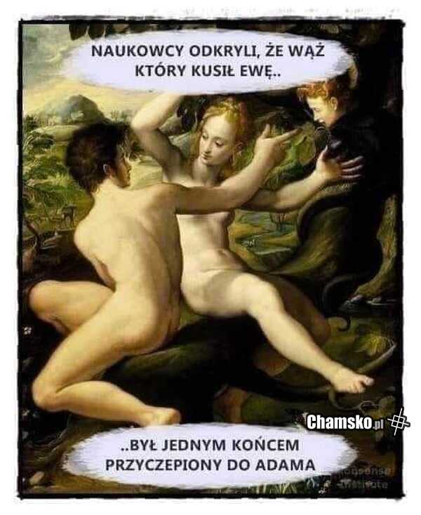 Wąż