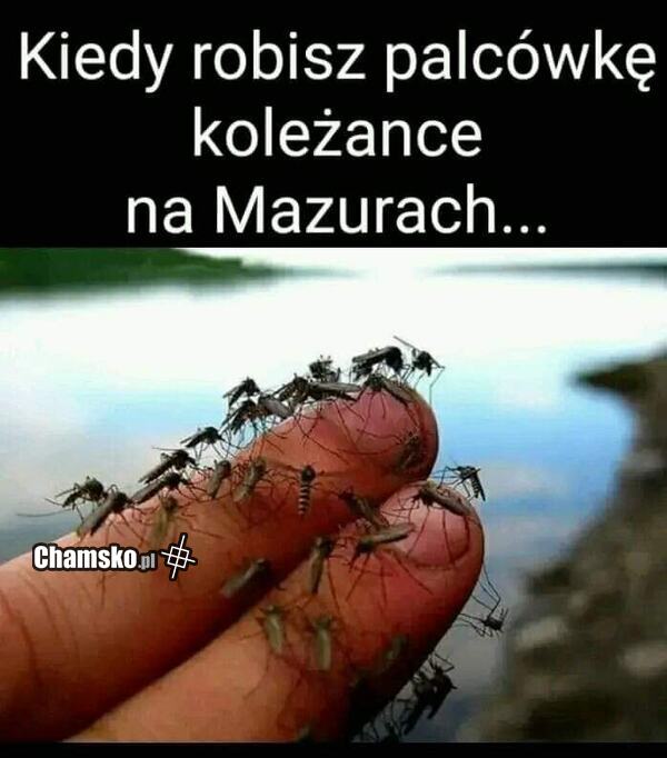 Komary