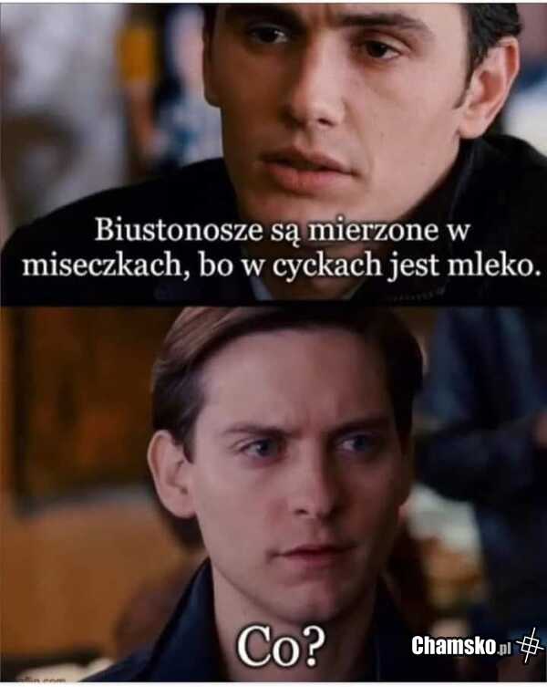 Biustonosze
