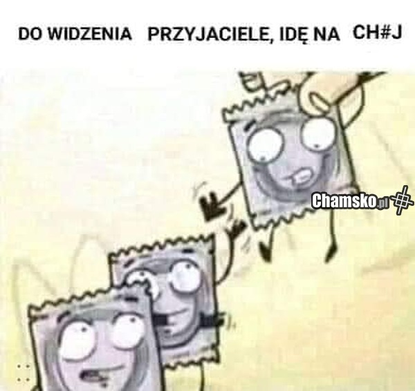 Do widzenia