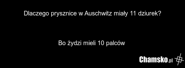 Dlaczego prysznice w Auschwitz miały 11 dziurek? Bo żydzi mieli 10 palców