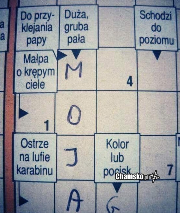 Krzyżówka