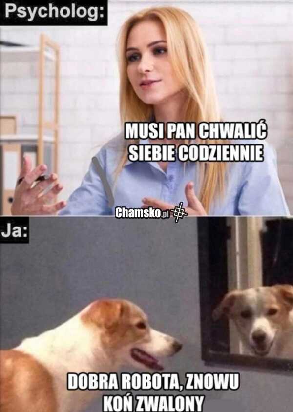 Codziennie (ch)walenie