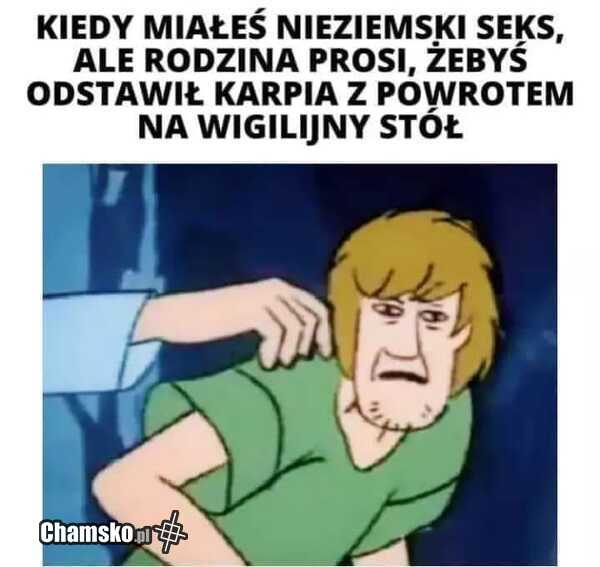 Najlepsze ruchanie