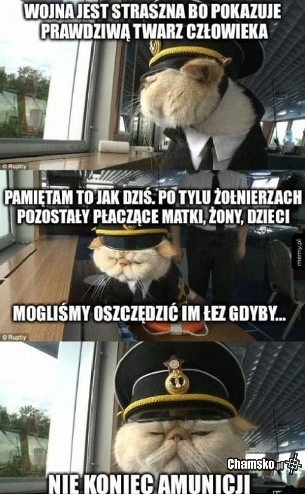 Wojna jest straszna