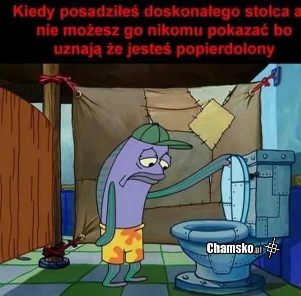 Świetny klocek