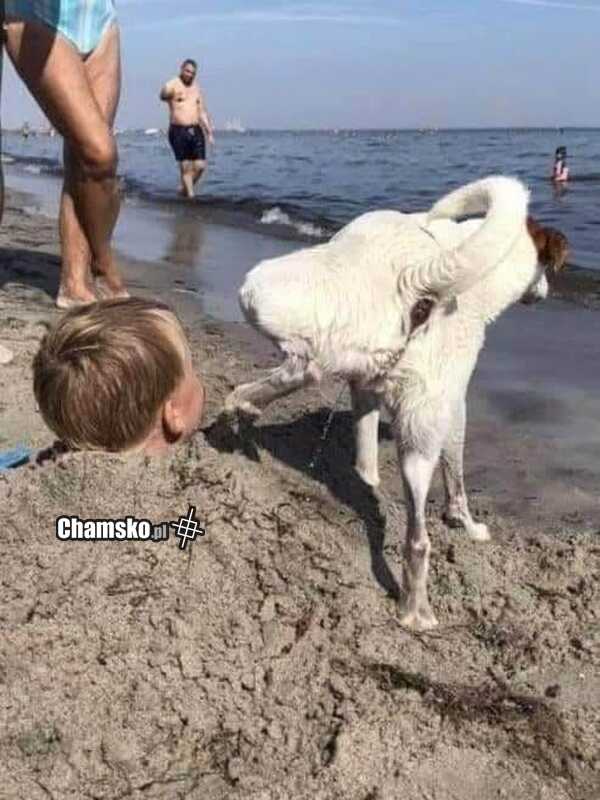 Trauma do końca życia