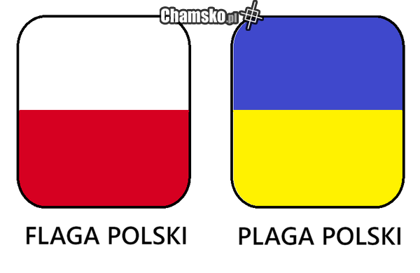 Jedna litera a robi różnice ;)