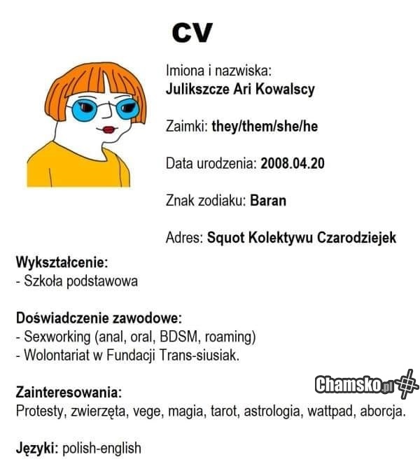 CV Julki