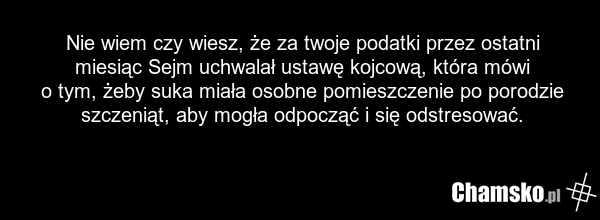 Nie wiem czy wiesz, że za twoje podatki przez ostatni miesiąc Sejm uchwalał ustawę kojcową, która mówi o tym, żeby suka miała osobne pomieszczenie po porodzie szczeniąt, aby mogła odpocząć i się odstresować.