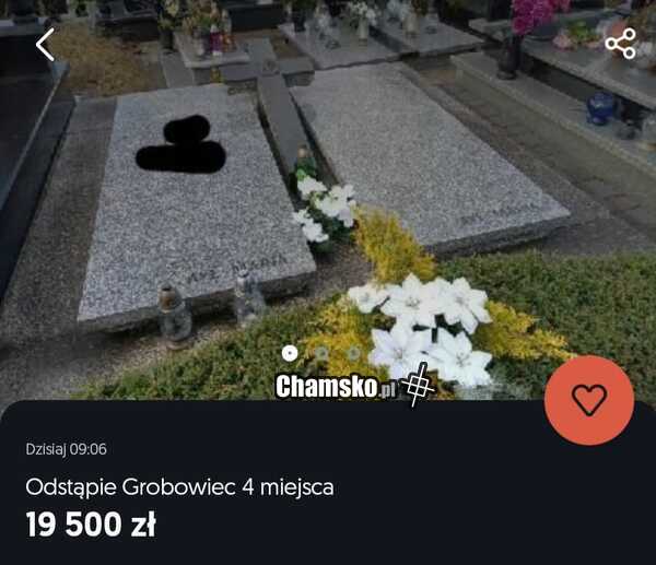 Taniej niż kawalerka