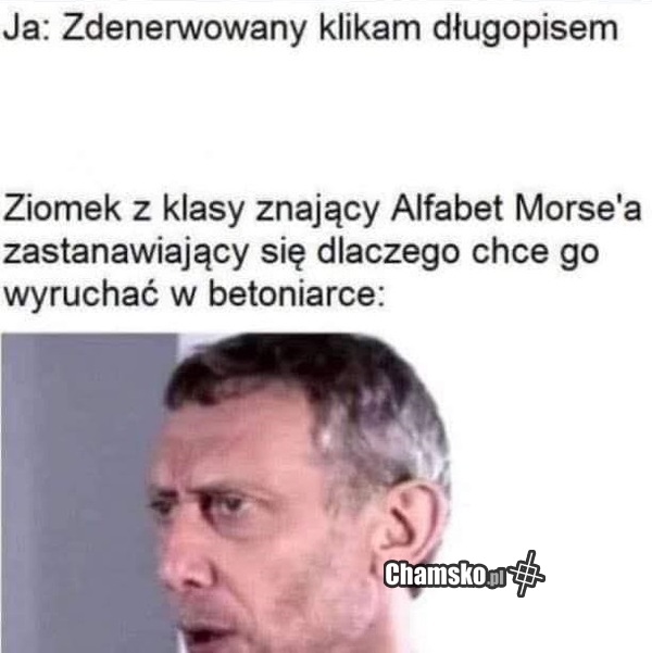 Kod morsa