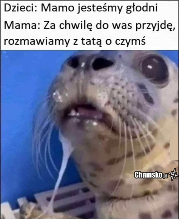 Rozmowa z tatą