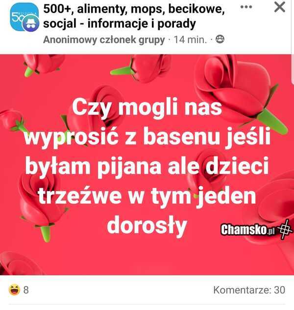 Mogli czy nie mogli?
