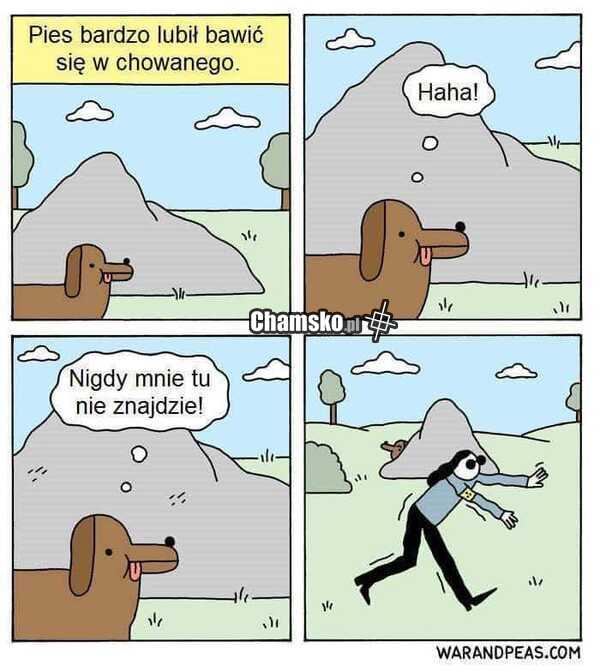 Zabawa w chowanego
