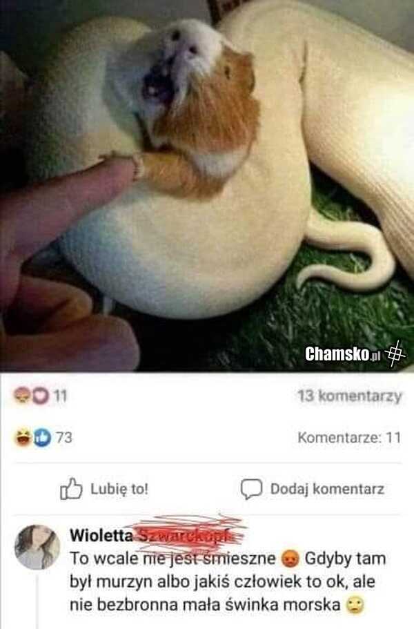 To nie jest śmieszne