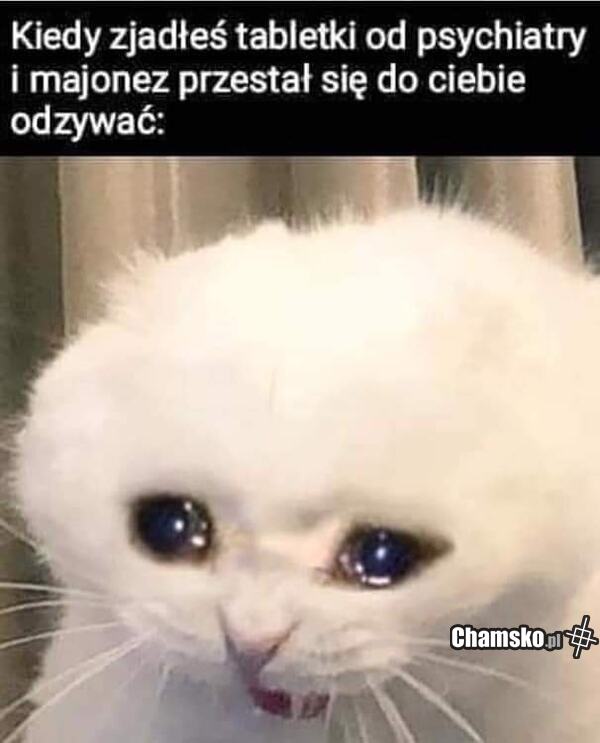 Brak kontaktu