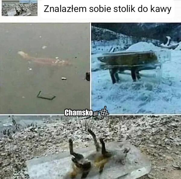 Fajny stolik