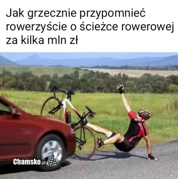 Ścieżki rowerowe