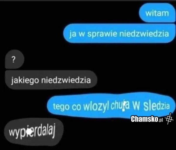 Ja w sprawie niedźwiedzia