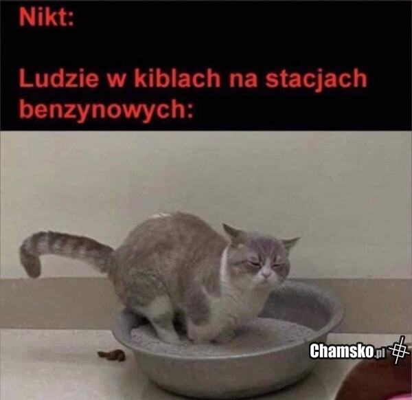 Ludzie na stacjach