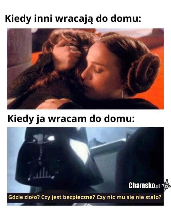 Powrót do domu