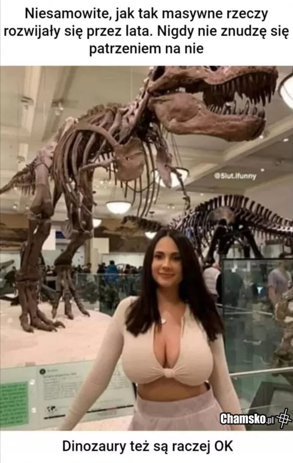 Dinozaury