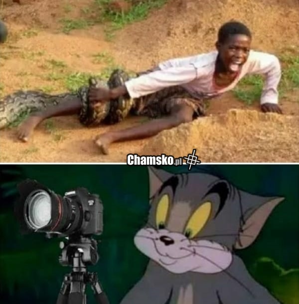 Filmy dokumentalne