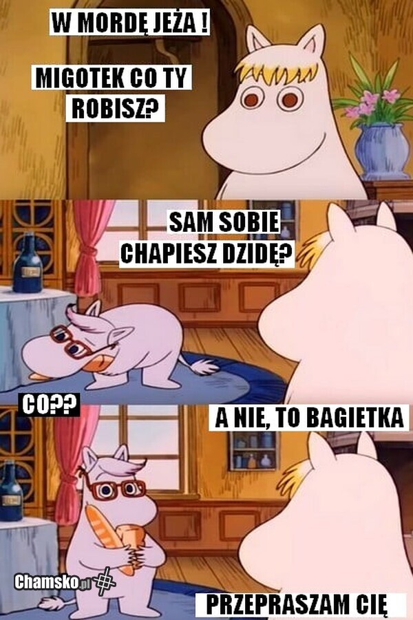 Sam sobie chapiesz?