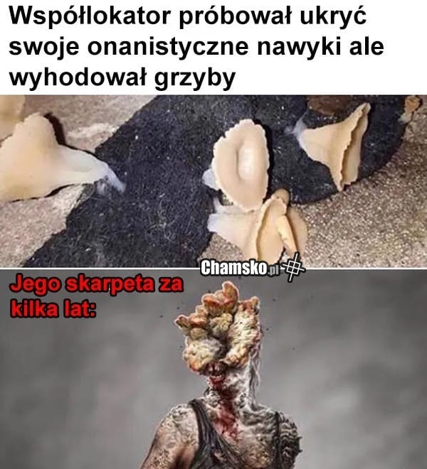 Skarpety