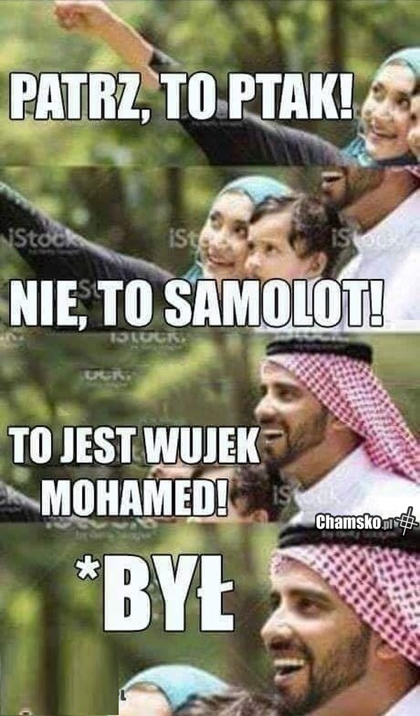 To samolot?