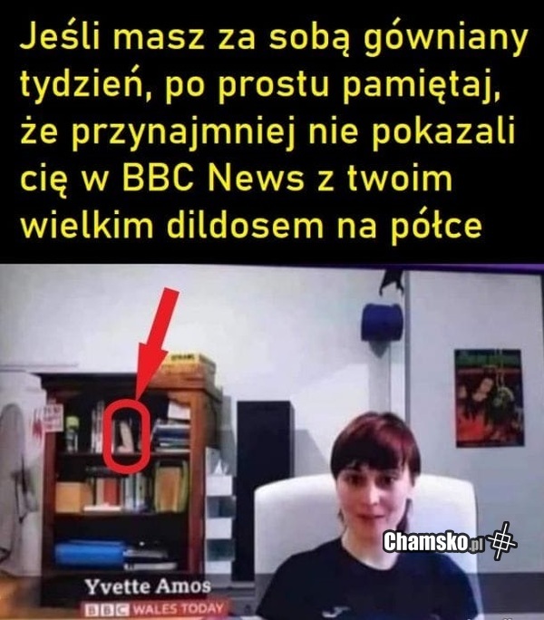 Występ w TV