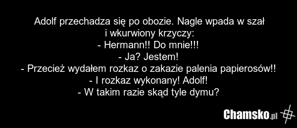 Adolf przechadza się po obozie. Nagle wpada w szał i wkurwiony krzyczy: - Hermann!! Do mnie!!! - Ja? Jestem! - Przecież wydałem rozkaz o zakazie palenia papierosów!! - I rozkaz wykonany! Adolf! - W takim razie skąd tyle dymu?