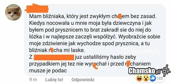 Bliźniak