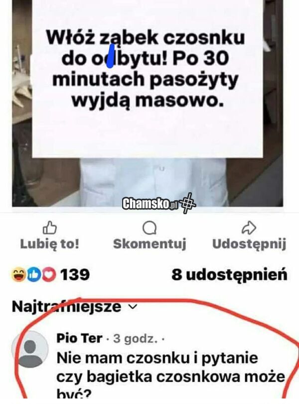 Czosnek