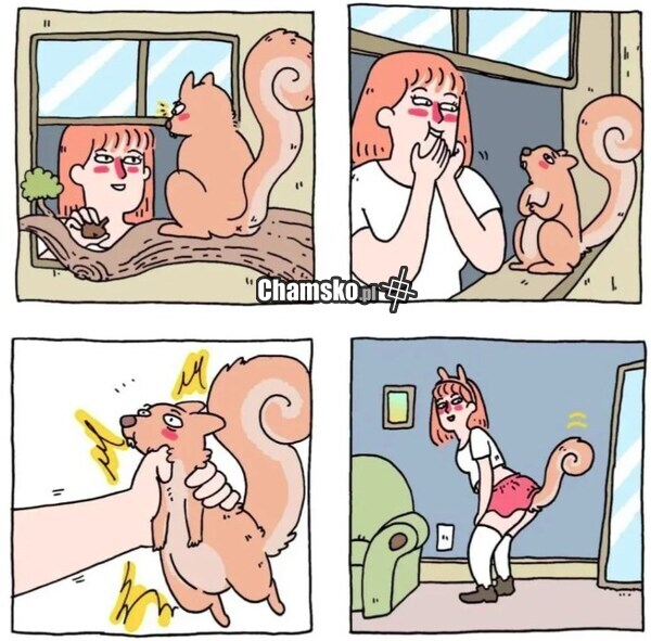 Słodka wiewiórka