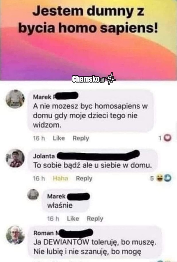 Homo sapiens