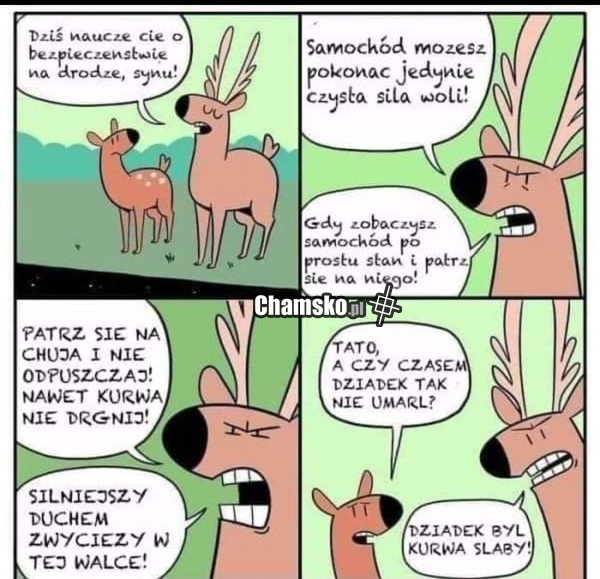 Zachowanie na drodze