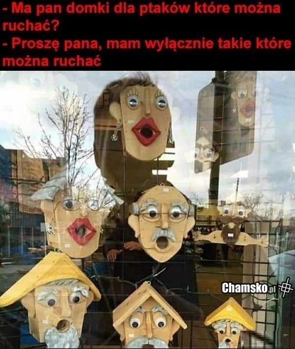 Domki do ptaków