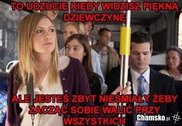 Nieśmiałość