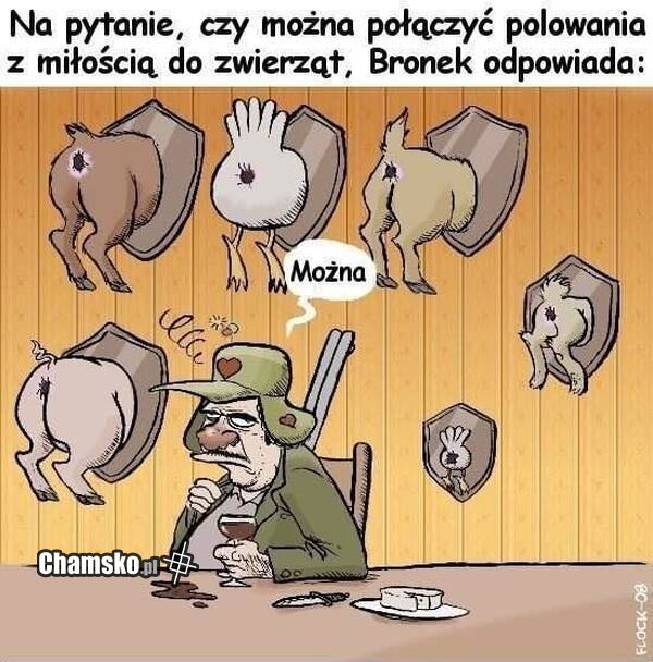 Miłość do zwierząt