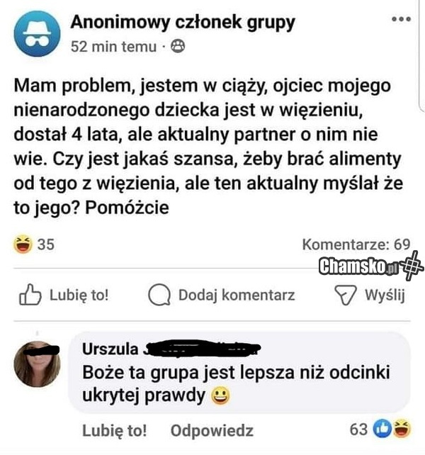 Przedsiębiorcza madka