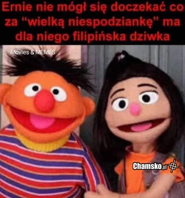 Niespodzianka